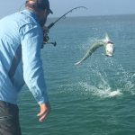 Keys Flats Fishing Tarpon Jumping