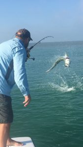 Keys Flats Fishing Tarpon Jumping