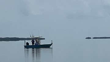 Tarpon Fishing Continues